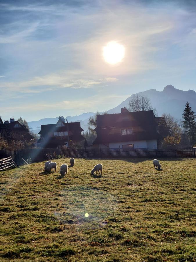 Apartament Morskie Oko كوشتيليسكا المظهر الخارجي الصورة